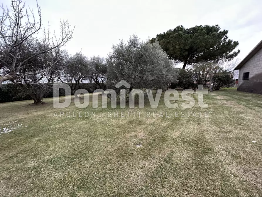 Immagine 3 di Rustico / casale in vendita  in Strada dell'Origlio a Capalbio