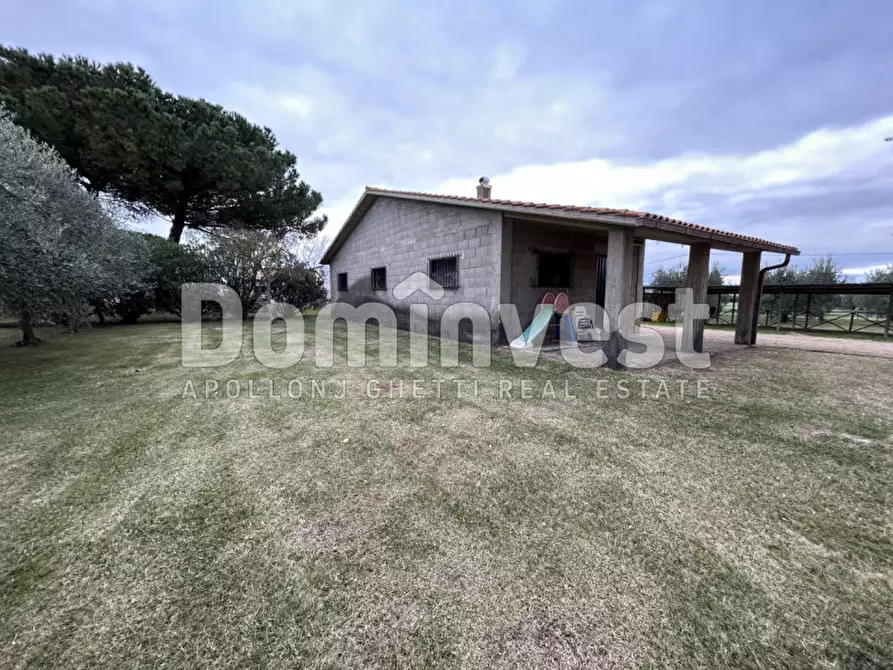 Immagine 4 di Rustico / casale in vendita  in Strada dell'Origlio a Capalbio