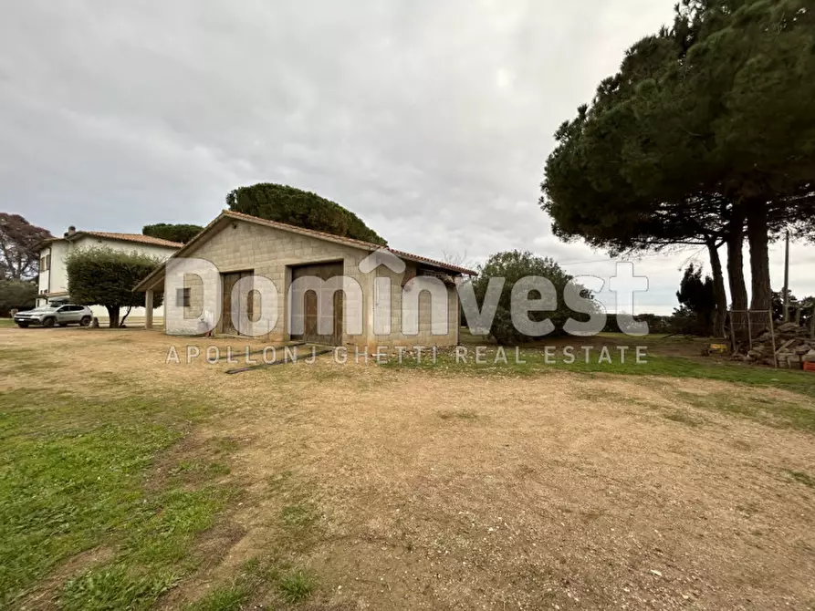 Immagine 5 di Rustico / casale in vendita  in Strada dell'Origlio a Capalbio