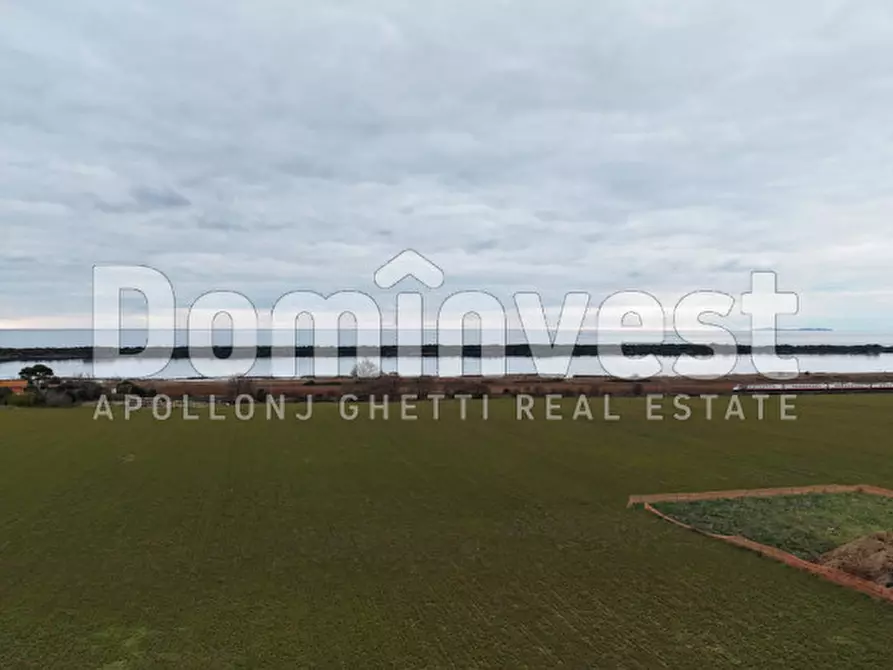 Immagine 7 di Rustico / casale in vendita  in Strada dell'Origlio a Capalbio