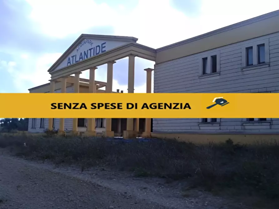 Immagine 1 di Attività commerciale in vendita  in SP3 a Montescaglioso