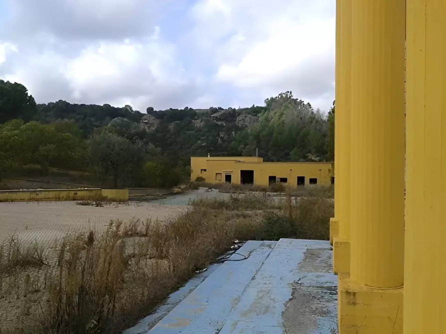 Immagine 7 di Attività commerciale in vendita  in SP3 a Montescaglioso