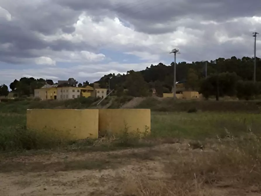 Immagine 11 di Attività commerciale in vendita  in SP3 a Montescaglioso