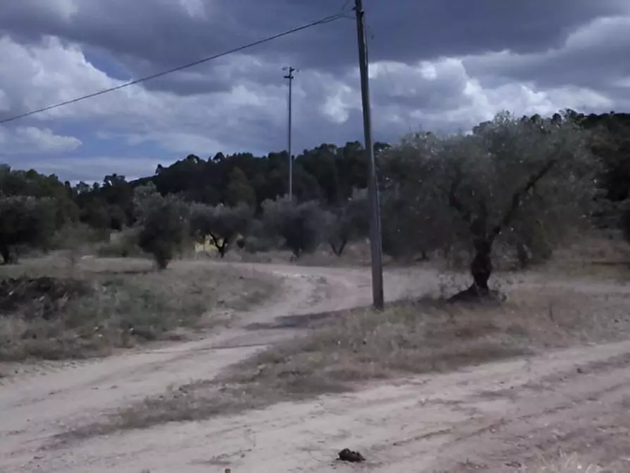 Immagine 14 di Attività commerciale in vendita  in SP3 a Montescaglioso