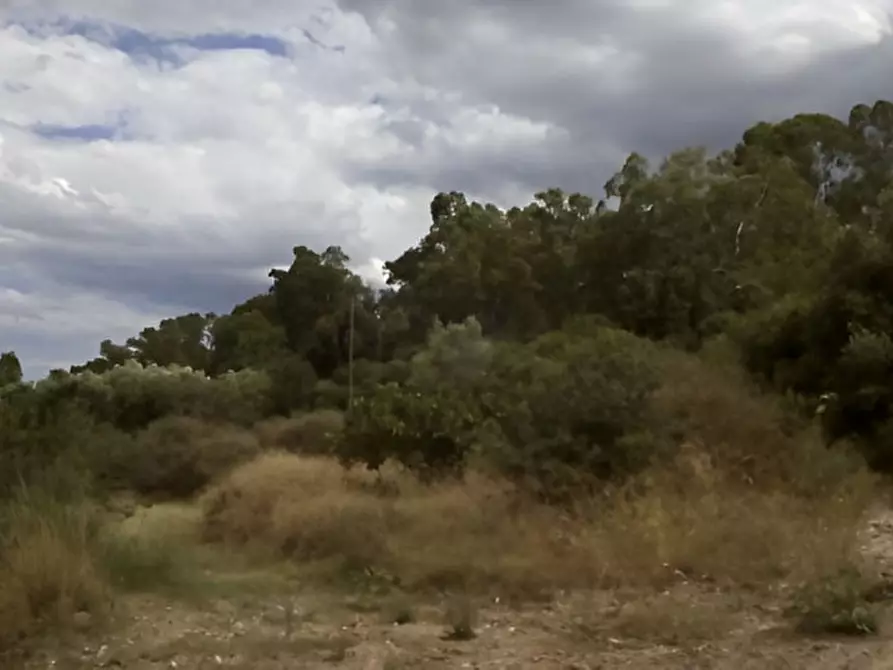 Immagine 15 di Attività commerciale in vendita  in SP3 a Montescaglioso