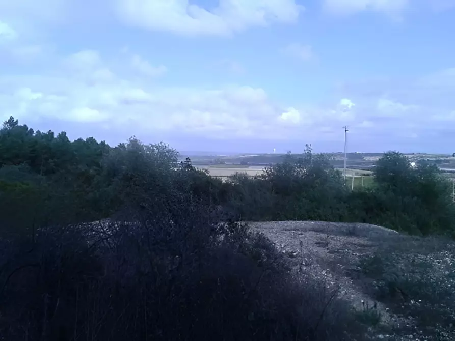 Immagine 16 di Attività commerciale in vendita  in SP3 a Montescaglioso