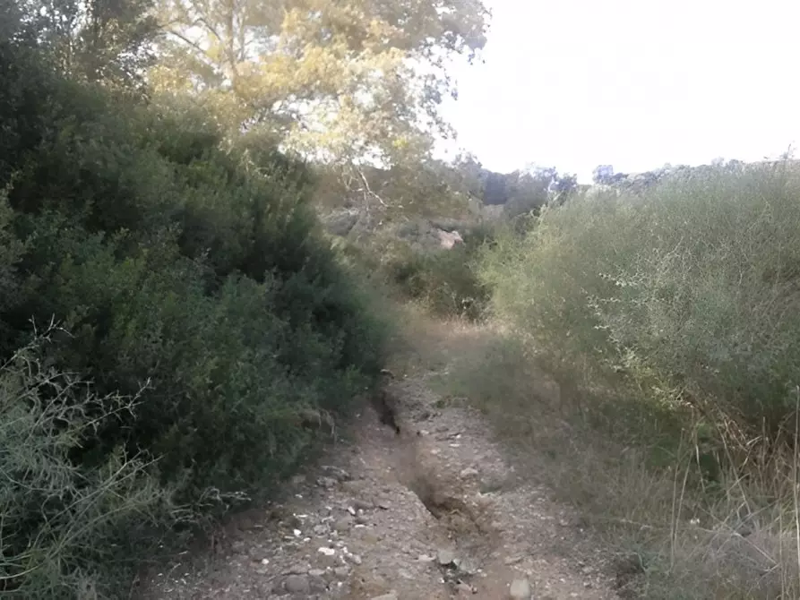 Immagine 17 di Attività commerciale in vendita  in SP3 a Montescaglioso