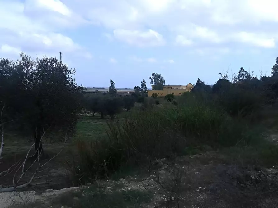 Immagine 22 di Attività commerciale in vendita  in SP3 a Montescaglioso