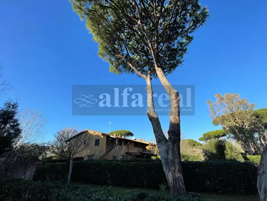 Immagine 23 di Appartamento in vendita  in Strada delle Rocchette a Castiglione Della Pescaia