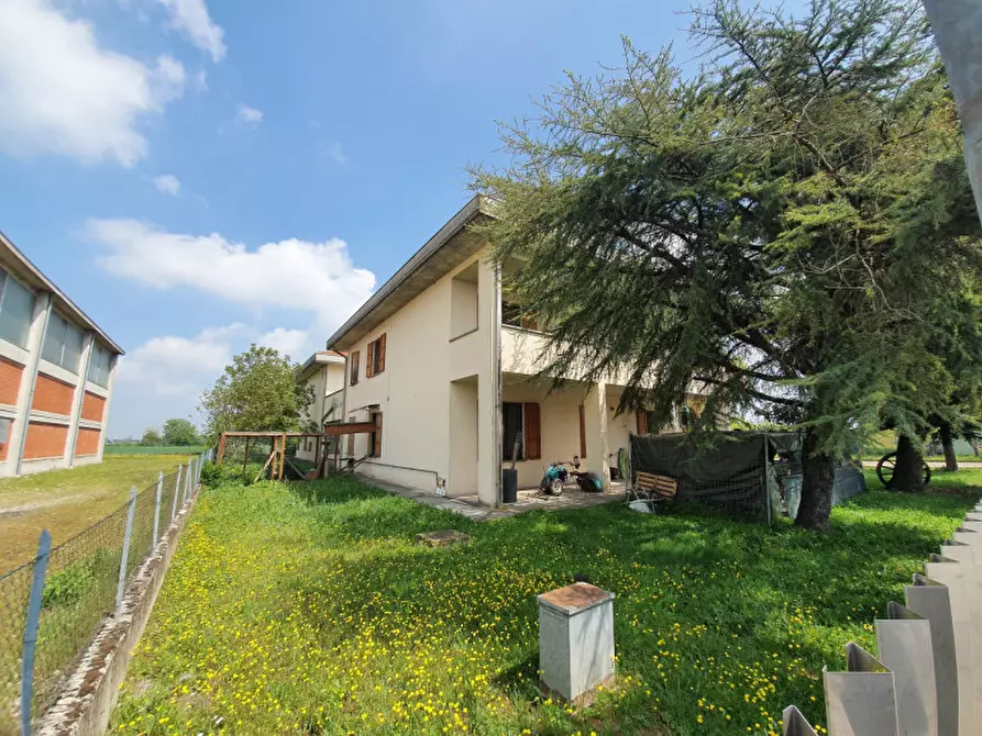 Immagine 19 di Appartamento in vendita  in Strada Romitaggio n.2 a Fontevivo