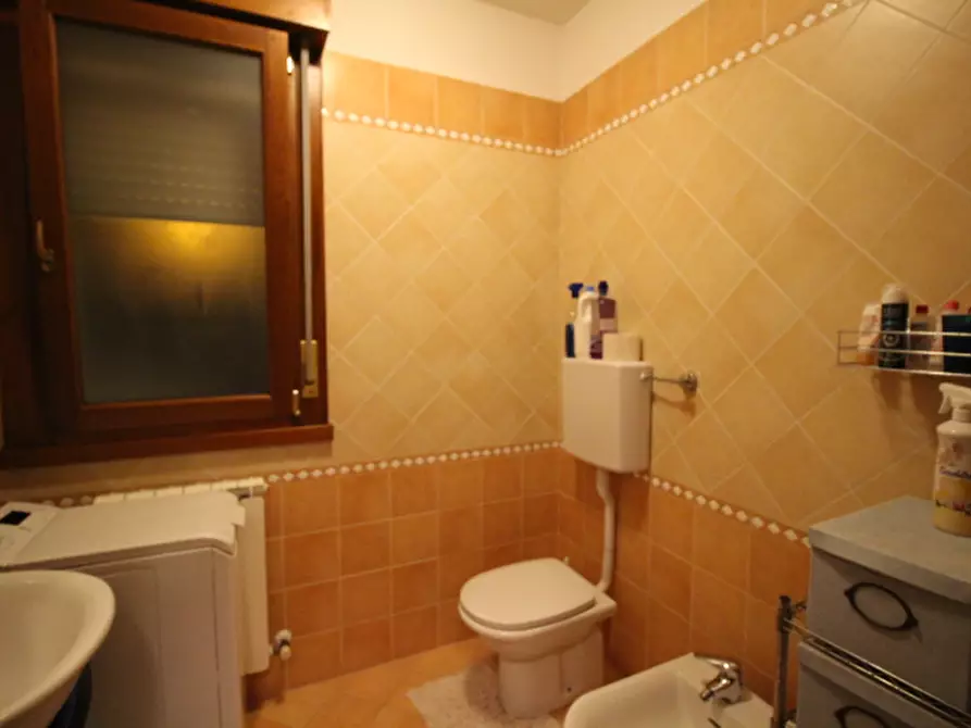 Immagine 4 di Appartamento in vendita  a Cavarzere