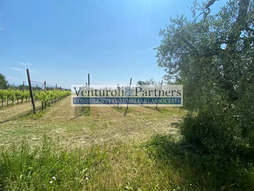 Immagine 3 di Terreno in vendita  in Via Roma a Puegnago Sul Garda