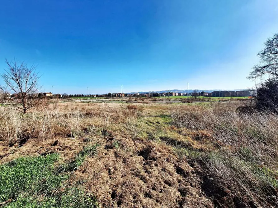 Immagine 4 di Terreno in vendita  in C. da Peschiera, N. snc a Macerata