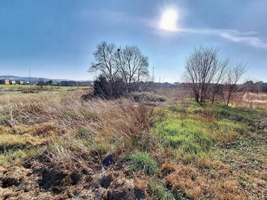 Immagine 5 di Terreno in vendita  in C. da Peschiera, N. snc a Macerata