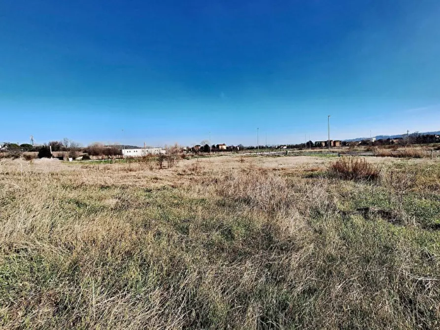 Immagine 6 di Terreno in vendita  in C. da Peschiera, N. snc a Macerata