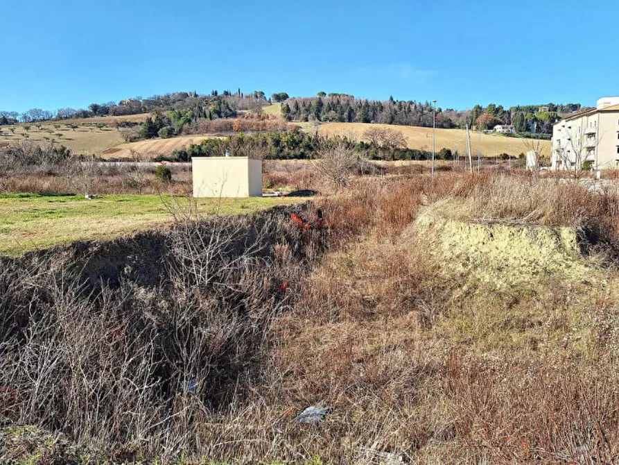 Immagine 9 di Terreno in vendita  in C. da Peschiera, N. snc a Macerata