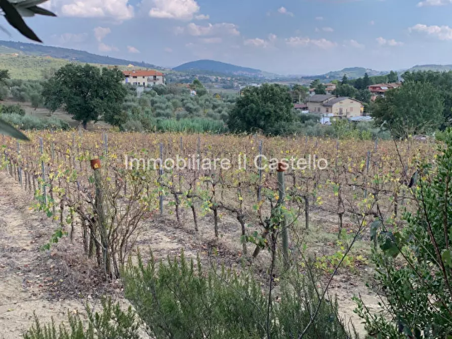 Immagine 1 di Terreno in vendita  in Castelvieto a Corciano