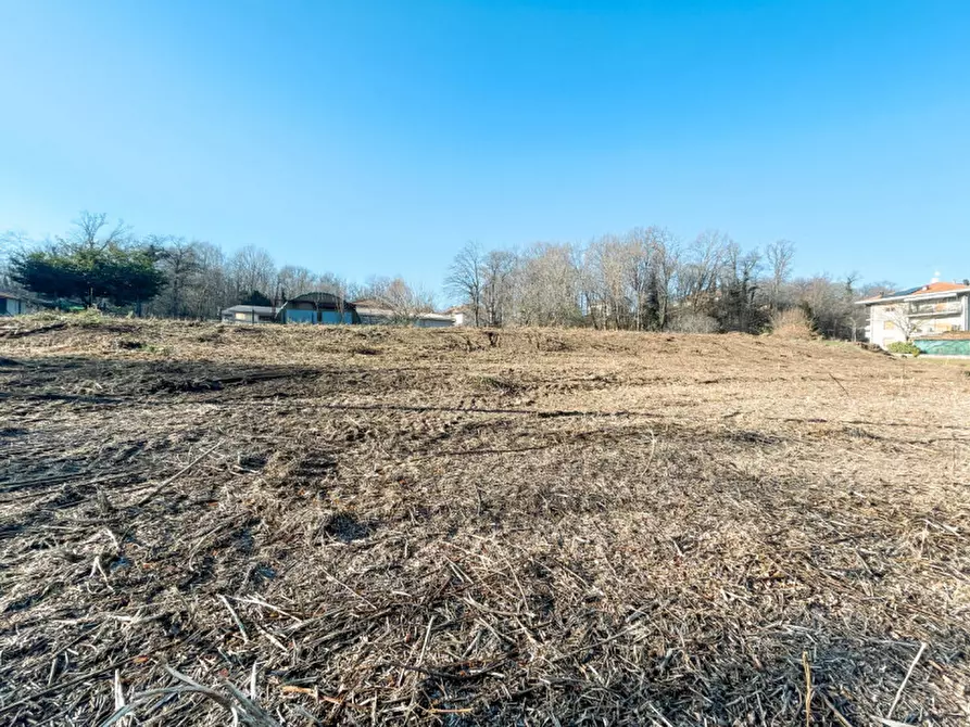 Immagine 5 di Terreno in vendita  in Via Pian dell erba a Gattico-Veruno