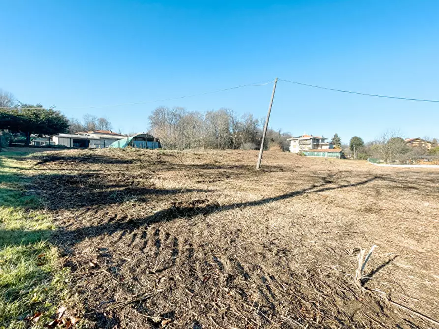 Immagine 6 di Terreno in vendita  in Via Pian dell erba a Gattico-Veruno