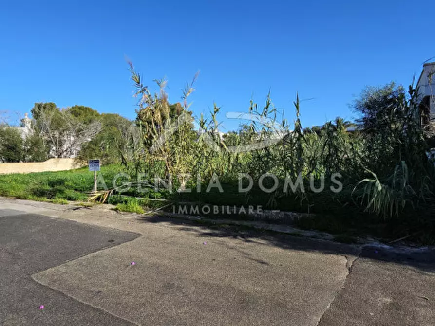 Immagine 3 di Terreno in vendita  in Via Riccione a Taviano