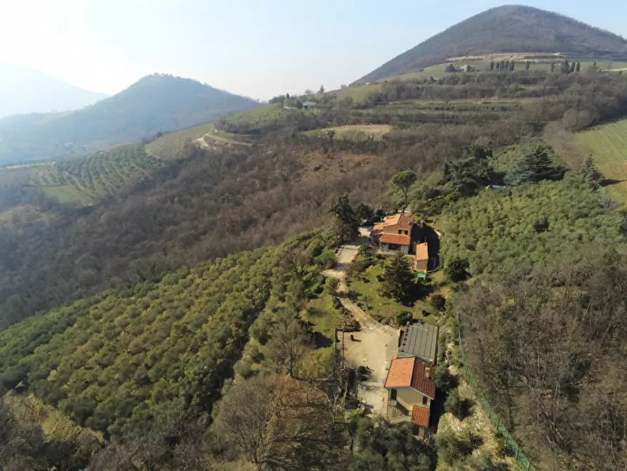 Immagine 2 di Villa in vendita  a Cinto Euganeo