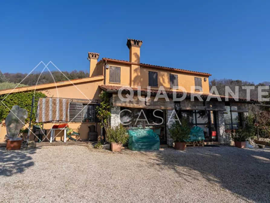 Immagine 4 di Villa in vendita  a Cinto Euganeo