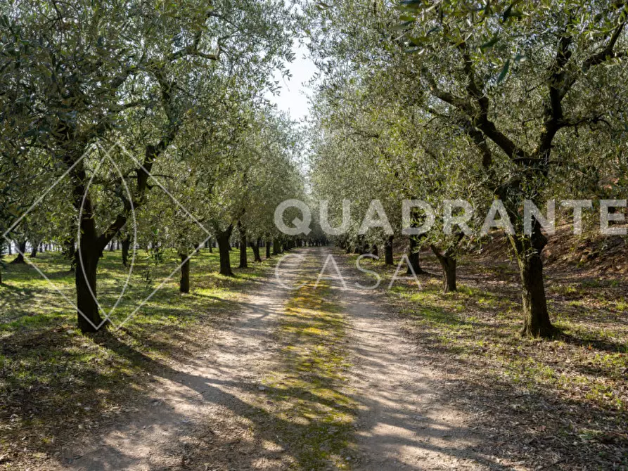 Immagine 19 di Villa in vendita  a Cinto Euganeo