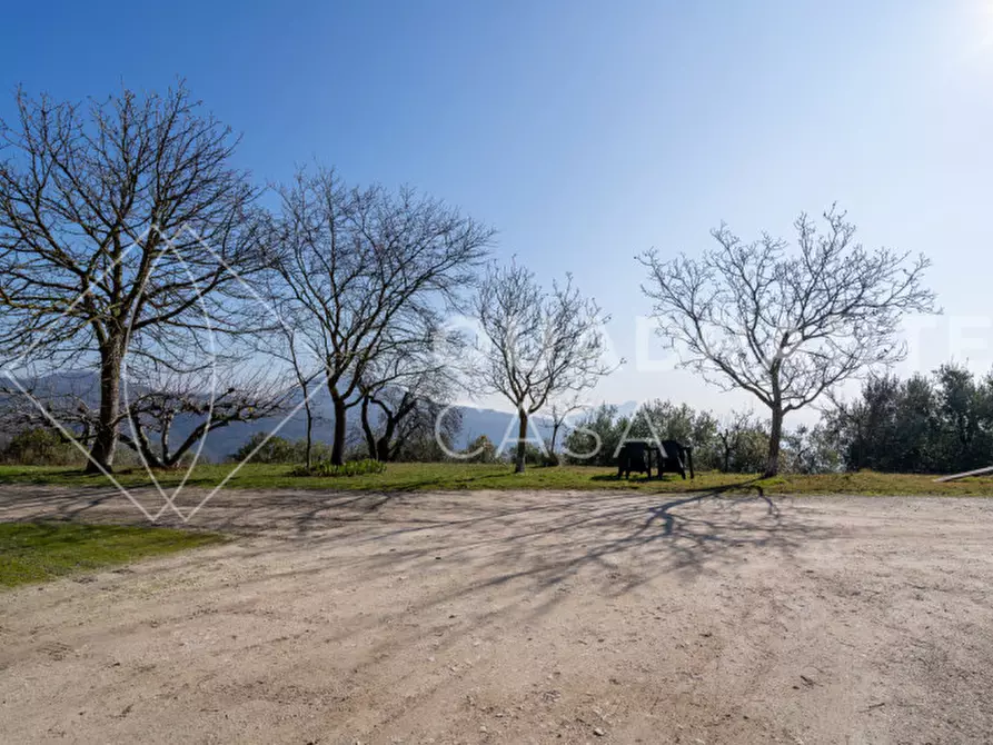 Immagine 20 di Villa in vendita  a Cinto Euganeo