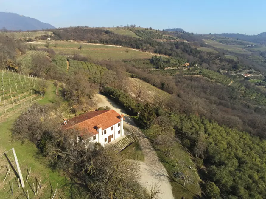 Immagine 21 di Villa in vendita  a Cinto Euganeo