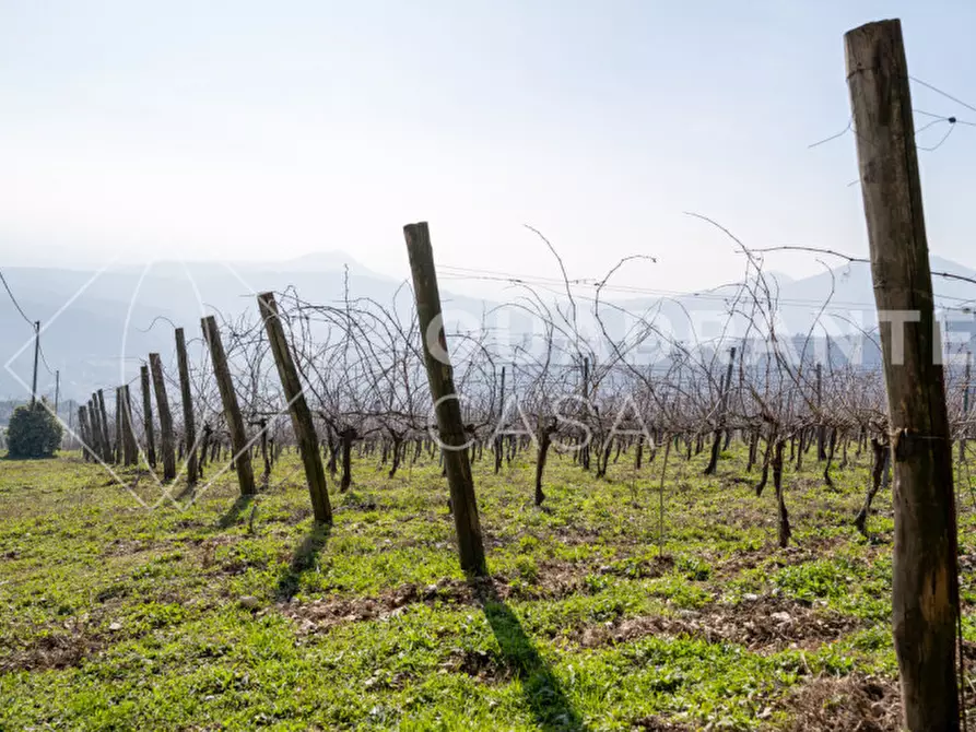Immagine 33 di Villa in vendita  a Cinto Euganeo