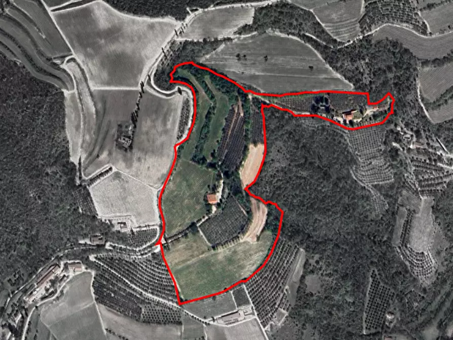 Immagine 40 di Villa in vendita  a Cinto Euganeo