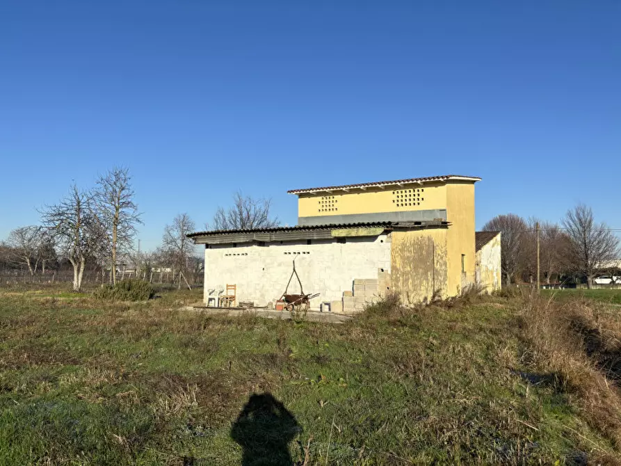 Immagine 28 di Casa indipendente in vendita  in via deledda a Tribano