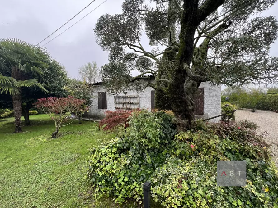 Immagine 1 di Magazzino in vendita  a Campo San Martino