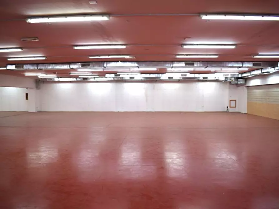 Immagine 25 di Negozio in affitto  in VIA ADIGE a San Giovanni Teatino