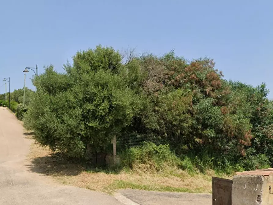 Immagine 1 di Terreno in vendita  in Via della ciprea 46 a Olbia