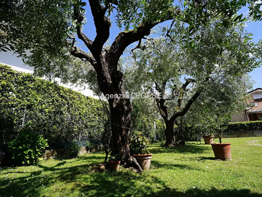 Immagine 16 di Villa in affitto  in Via Carrara 20 a Forte Dei Marmi