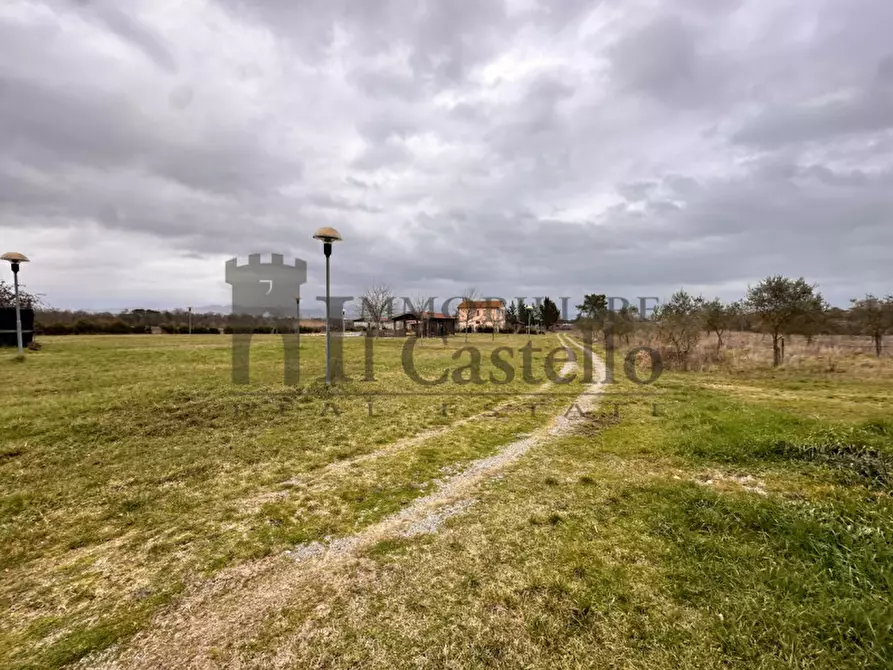 Immagine 5 di Agriturismo in vendita  in piana a Castiglione Del Lago