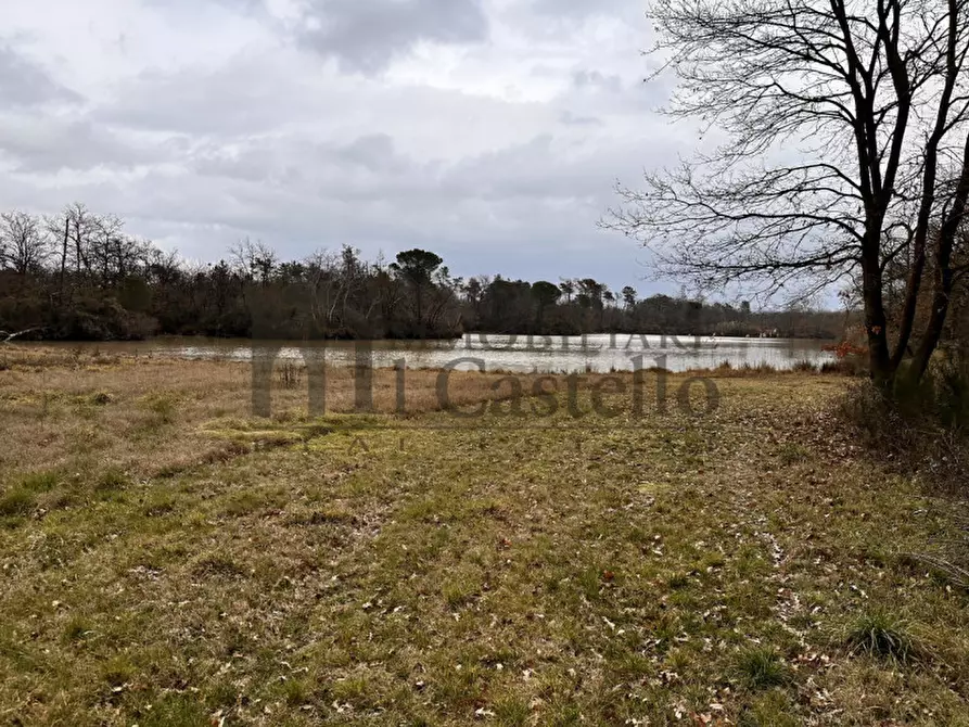 Immagine 8 di Agriturismo in vendita  in piana a Castiglione Del Lago