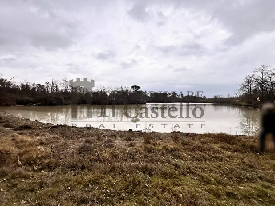 Immagine 10 di Agriturismo in vendita  in piana a Castiglione Del Lago