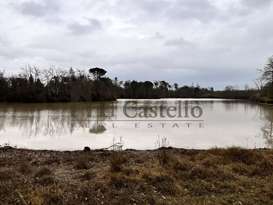Immagine 12 di Agriturismo in vendita  in piana a Castiglione Del Lago