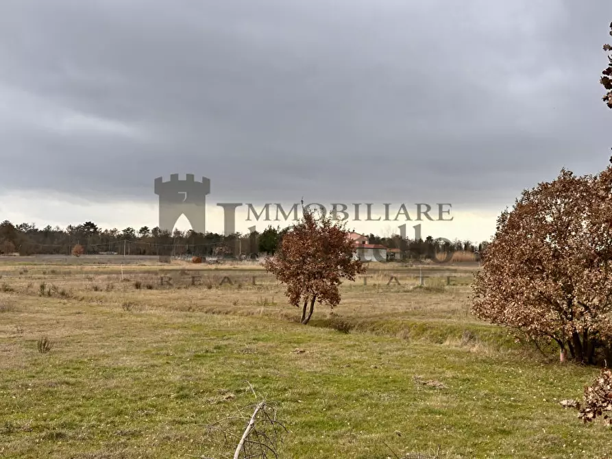 Immagine 13 di Agriturismo in vendita  in piana a Castiglione Del Lago