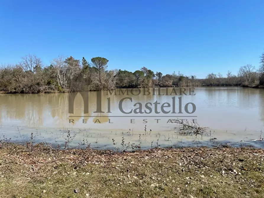 Immagine 18 di Agriturismo in vendita  in piana a Castiglione Del Lago