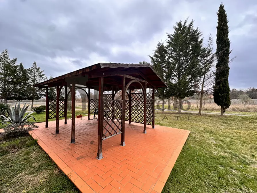 Immagine 21 di Agriturismo in vendita  in piana a Castiglione Del Lago