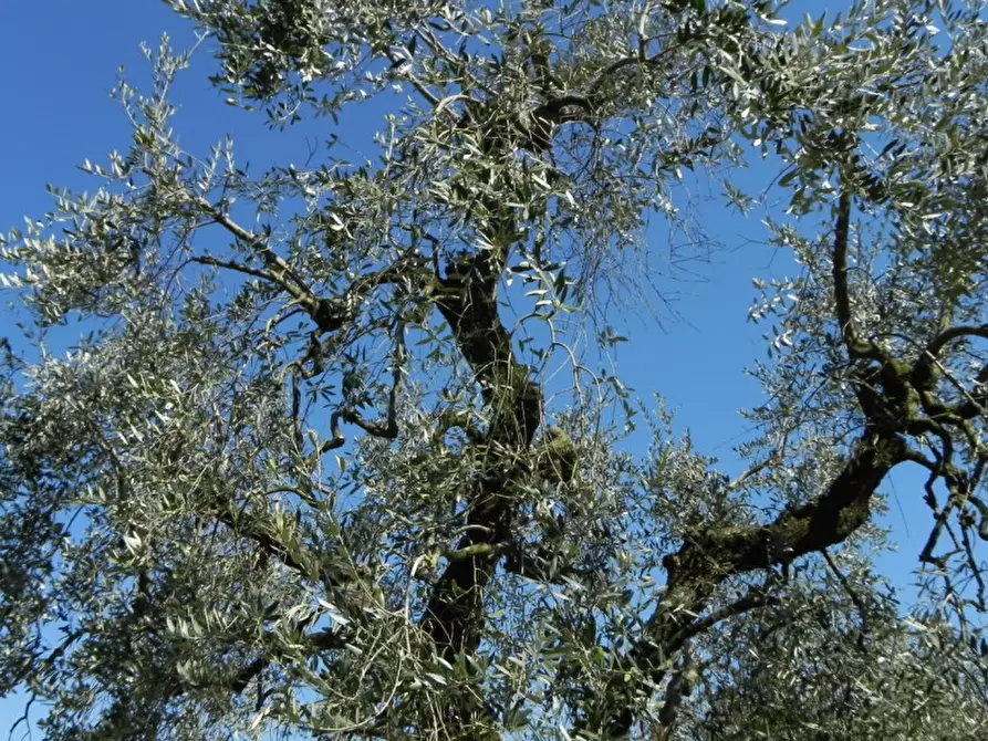 Immagine 31 di Rustico / casale in vendita  in via IV novembre 4 a Polpenazze Del Garda