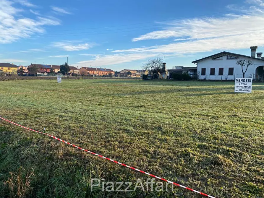 Immagine 2 di Terreno in vendita  in Via Roma a Brugine