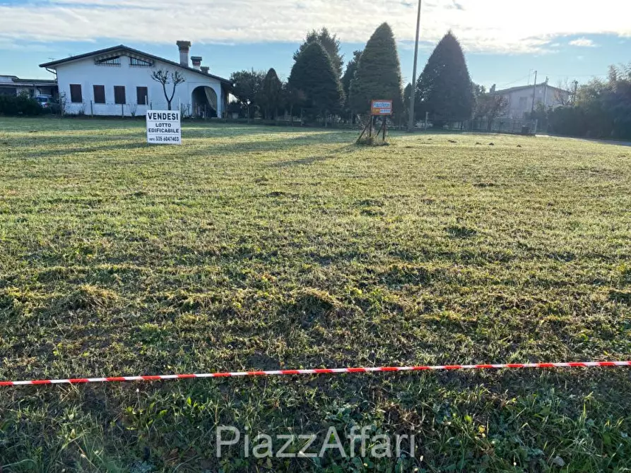 Immagine 3 di Terreno in vendita  in Via Roma a Brugine