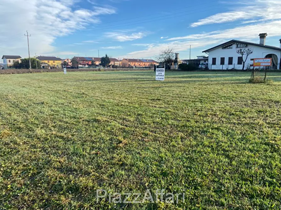 Immagine 4 di Terreno in vendita  in Via Roma a Brugine
