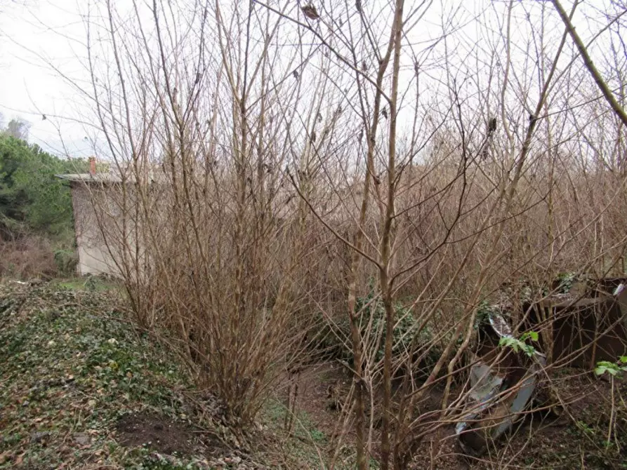 Immagine 6 di Terreno in vendita  in via Tovi, N. 25 a Montorso Vicentino