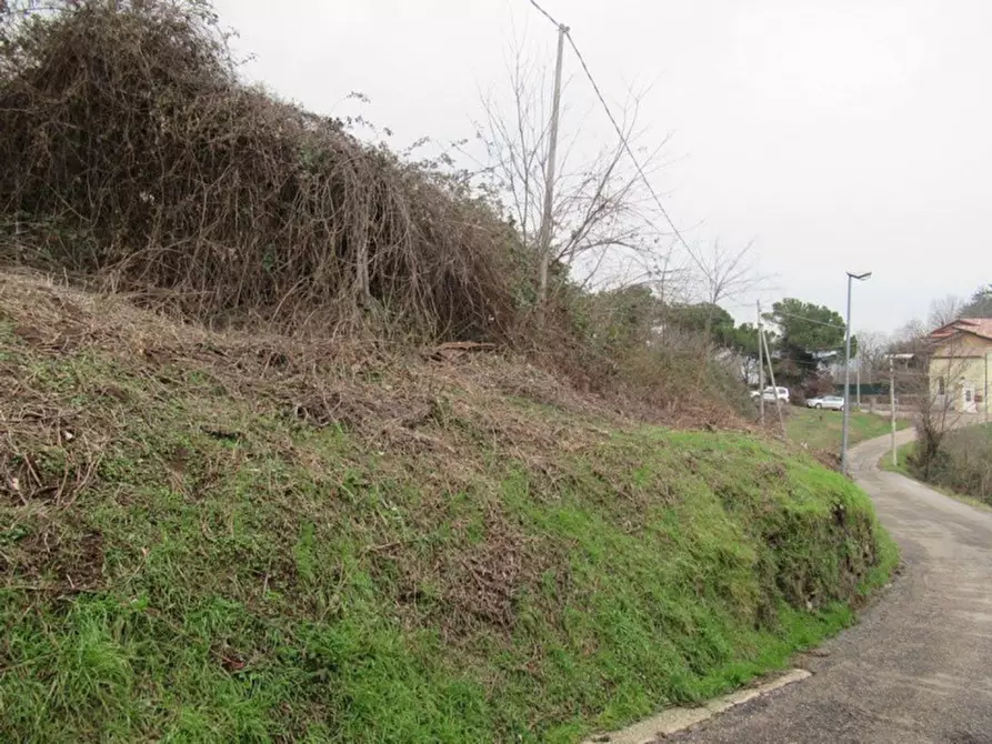 Immagine 8 di Terreno in vendita  in via Tovi, N. 25 a Montorso Vicentino