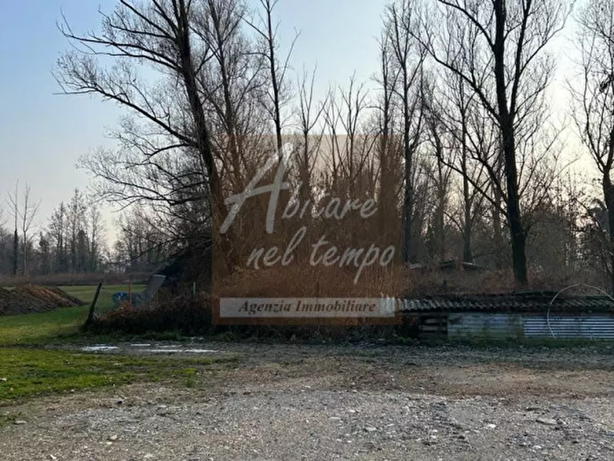 Immagine 4 di Terreno in vendita  a Fontaniva